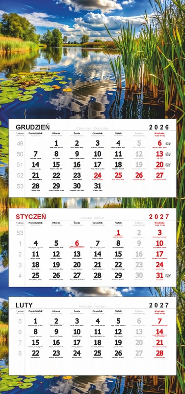 Kalendarz trójdzielny główka bez wypukłości KTR2 63508 DARRIEUS
